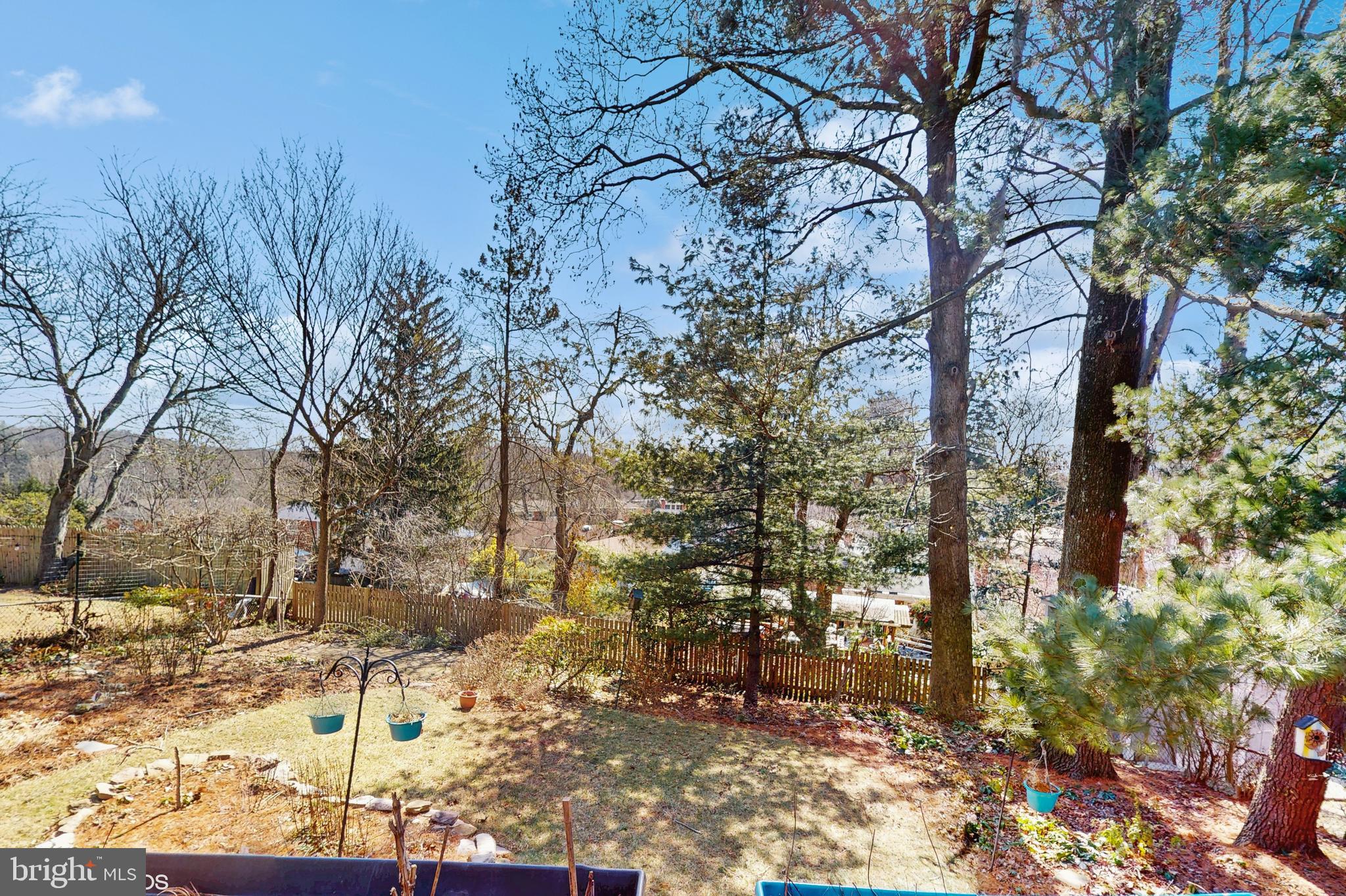 906 Malta Lane Silver Spring, MD 20901 - Photo 28 of 35 a view of outdoor space and covered with trees