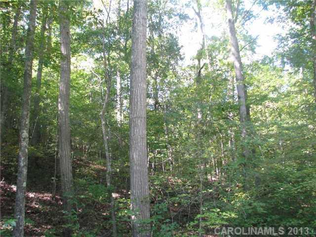 222 Dan Sexton Road York, SC 29745 - Photo 2 of 16 a view of a forest that has a tree