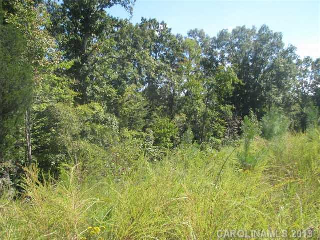 222 Dan Sexton Road York, SC 29745 - Photo 11 of 16 a view of a lush green forest with large trees