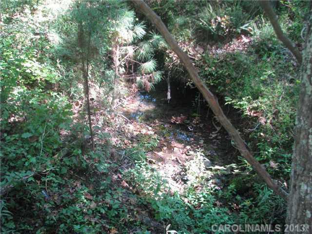 222 Dan Sexton Road York, SC 29745 - Photo 12 of 16 a picture of tree