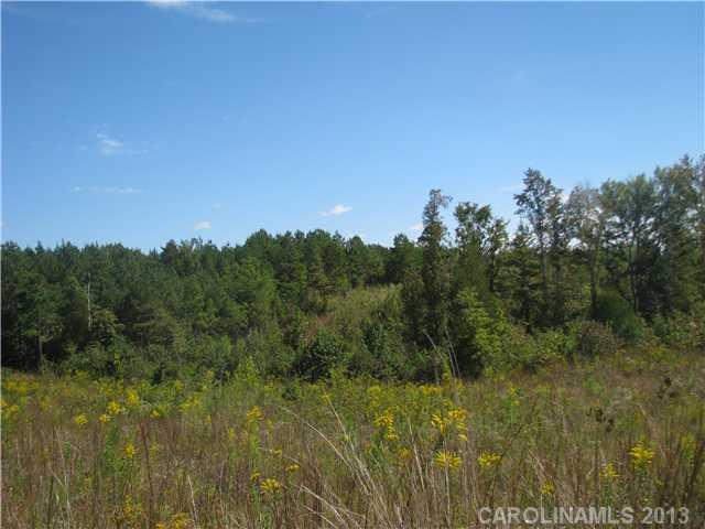 222 Dan Sexton Road York, SC 29745 - Photo 16 of 16 a view of a city with lush green forest