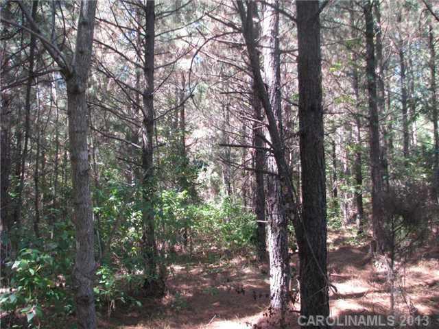 222 Dan Sexton Road York, SC 29745 - Photo 7 of 16 a view of forest
