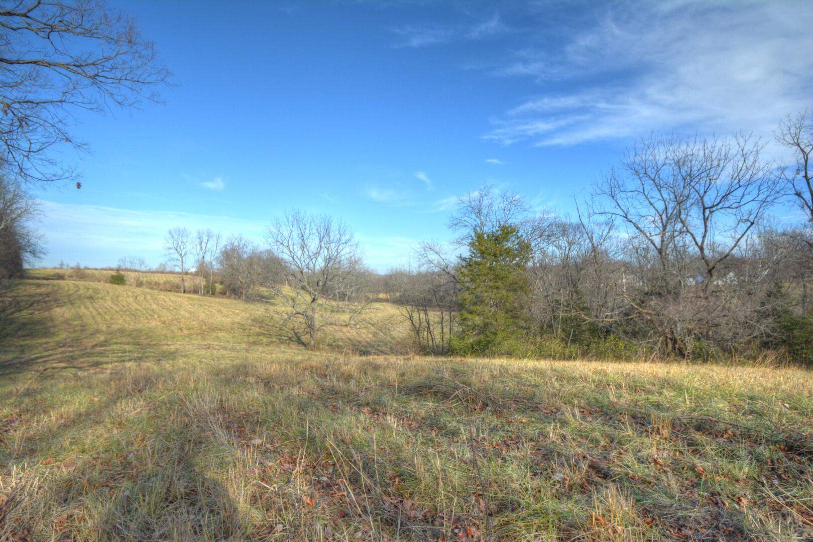 2926 Cummins Ferry Road Versailles, KY 40383 - Photo 40 of 42 Rear Fence Line