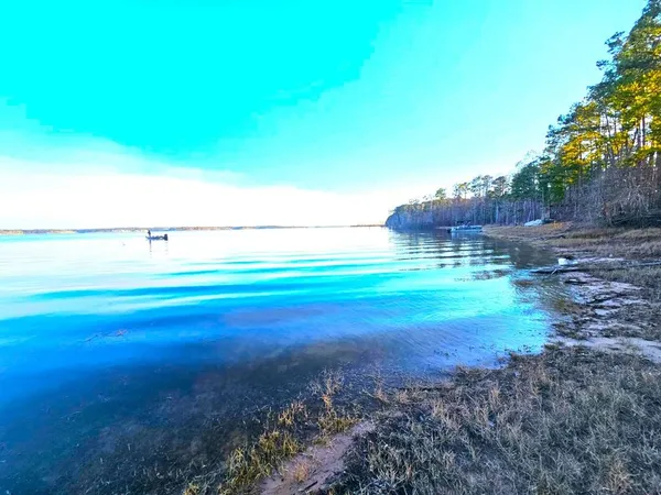 a view of a field with of grass and trees