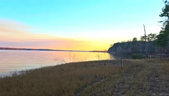 a view of a garden from a balcony
