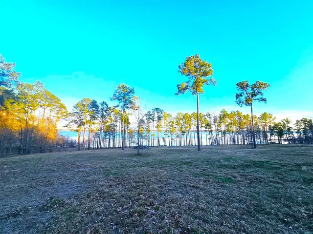 a view of outdoor space with trees