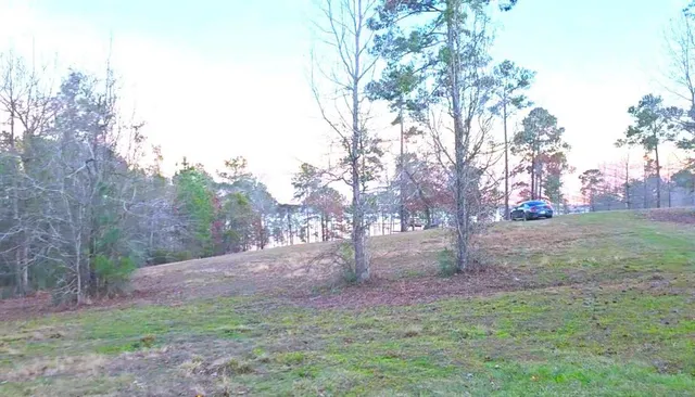 a view of outdoor space with trees