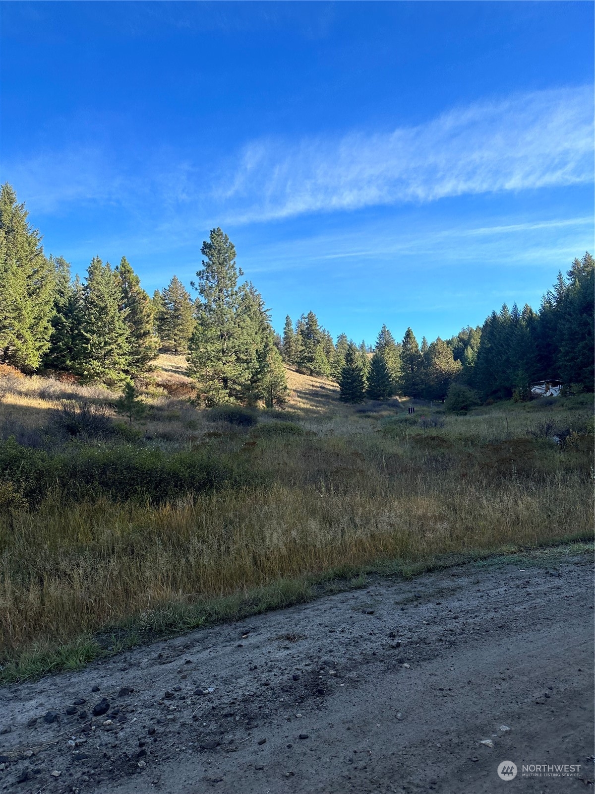 145 Knob Hl E Road Republic, WA 99166 - Photo 13 of 25 a view of a lake with a yard