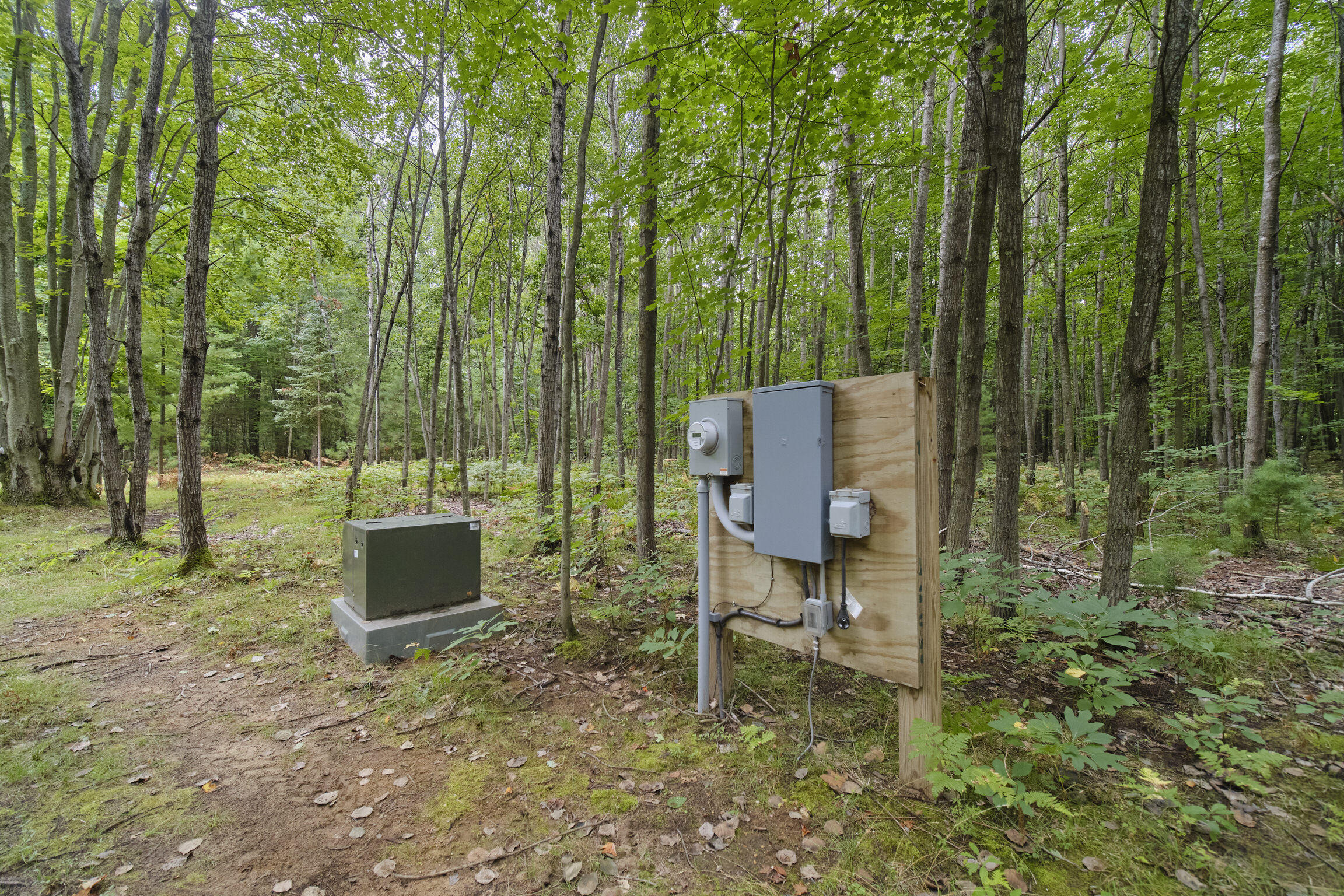 8089 Hunter Ridge Trail Copemish, MI 49625 - Photo 15 of 61 8089 Hunter's Ridge