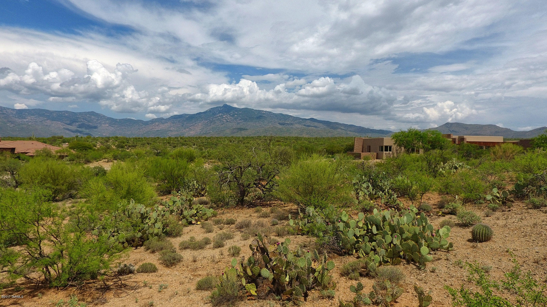 15620 East Tumbling Q Ranch Place, Unit 157 Vail, AZ 85641 - Photo 3 of 38