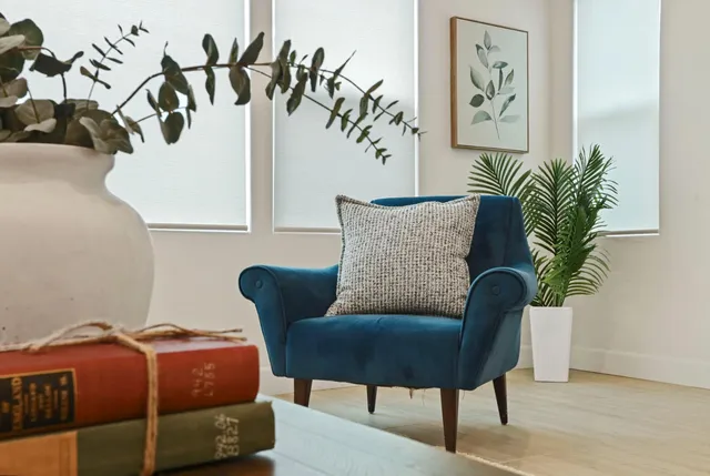 a living room with furniture and potted plant