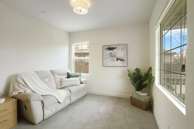 a living room with furniture and a potted plant