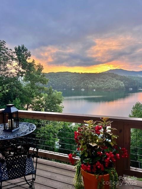 216 Alarka Point Bryson City, NC 28713 - Photo 47 of 47 a view of a potted flower in a balcony next to a yard