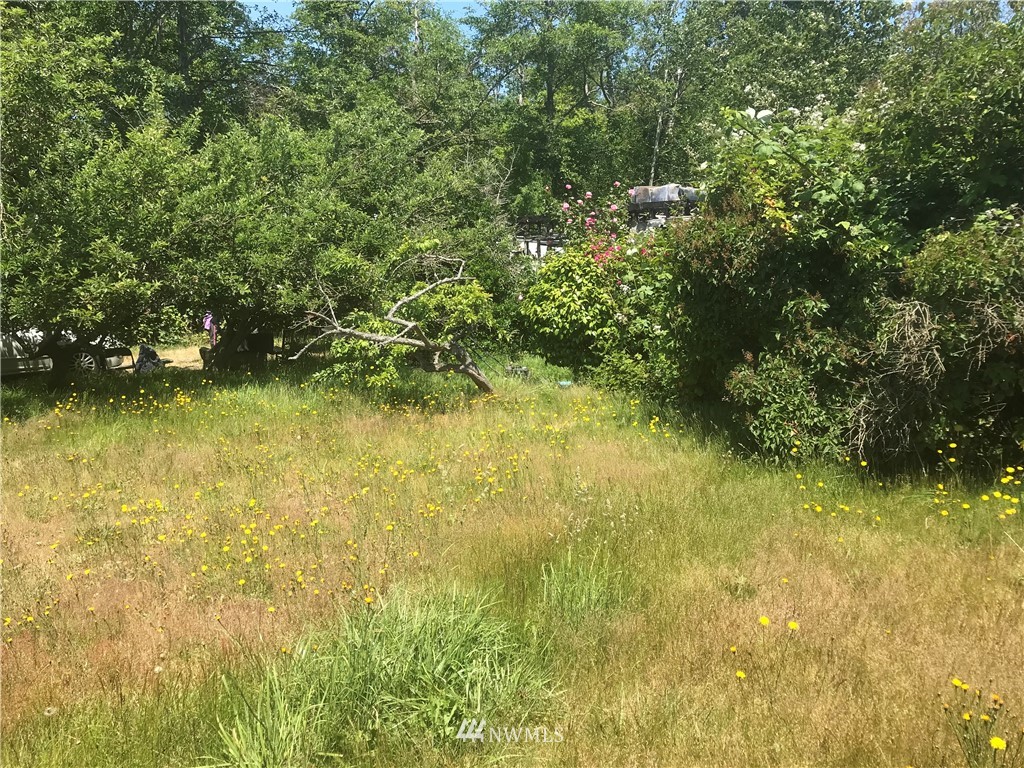 2516 MacKenzie Road Bellingham, WA 98226 - Photo 2 of 3 Gallery Image 2