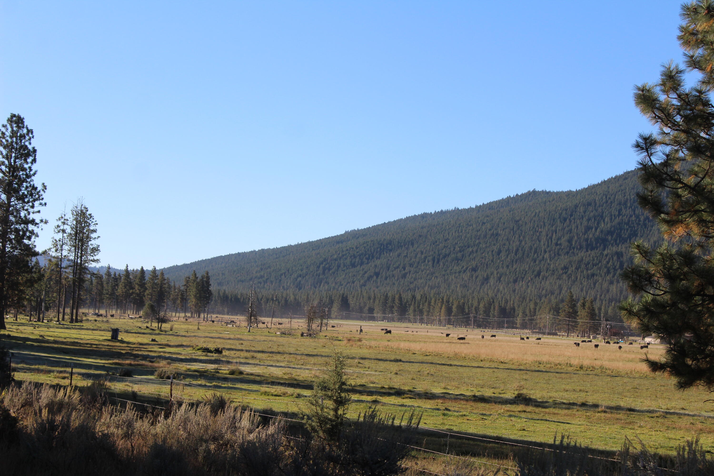 12046 Old Fort Road Klamath Falls, OR 97601 - Photo 40 of 59