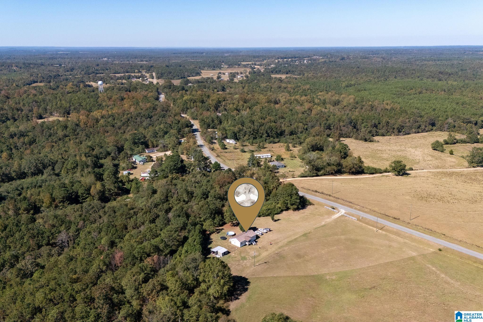 4455 County Road 447 Verbena, AL 36091 - Photo 48 of 51