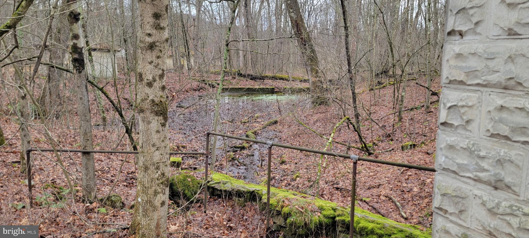 Camp Galilee Road Terra Alta, WV 26764 - Photo 12 of 40