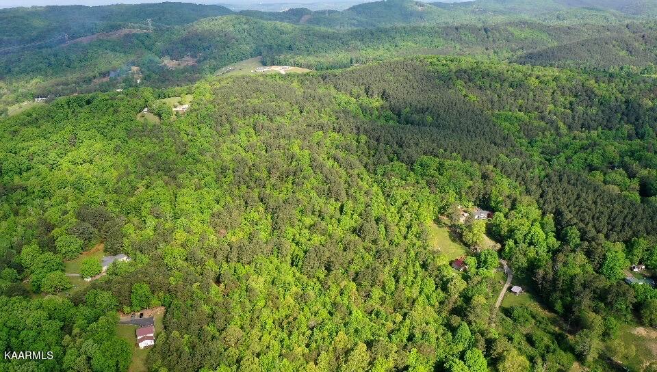 B8BCD402-9803-491C-A022-F0105A606509