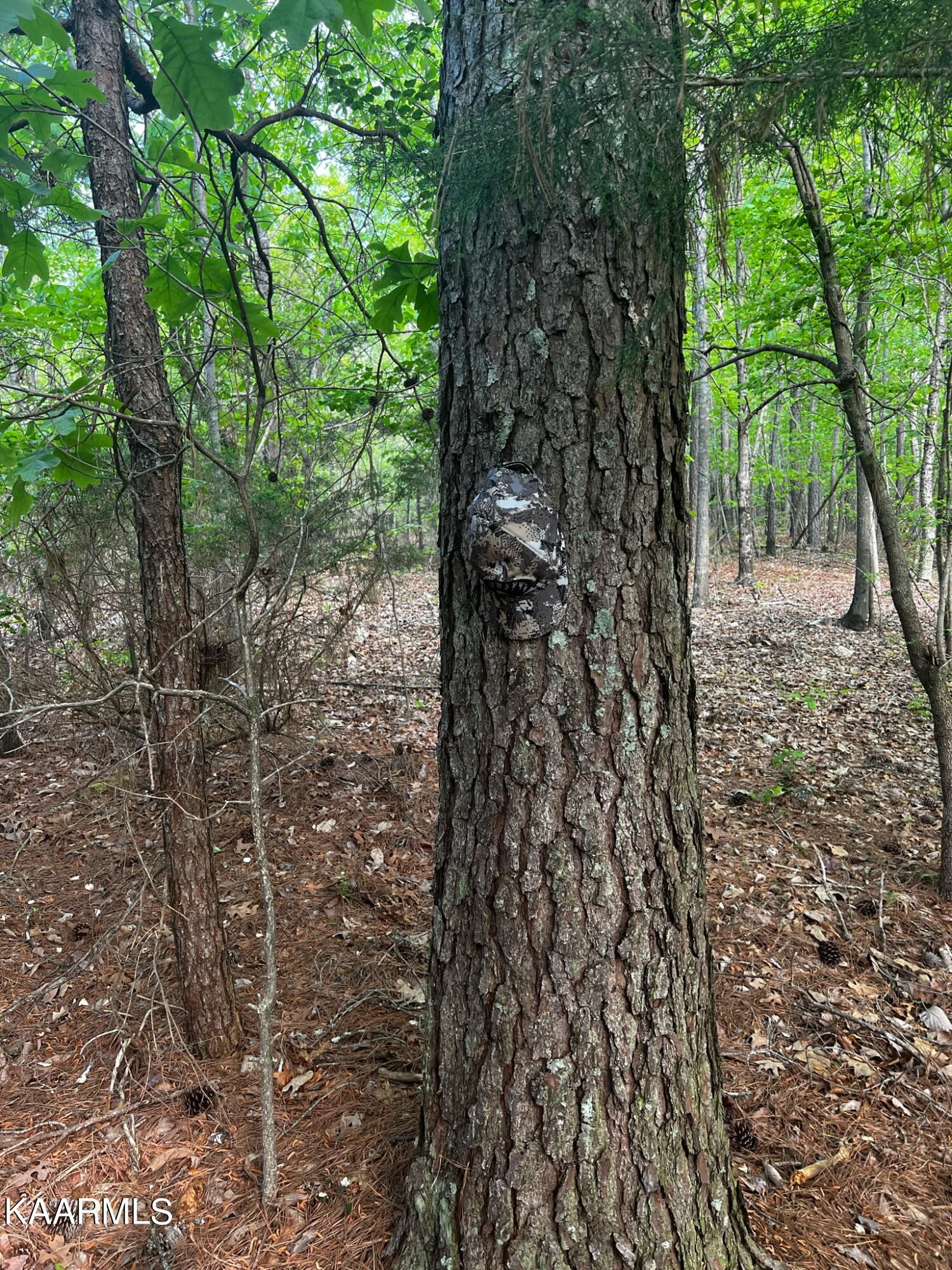 Bancroft Road McDonald, TN 37353 - Photo 12 of 15 5E549708-A8CB-4C79-B37F-DD00AFA96AB2