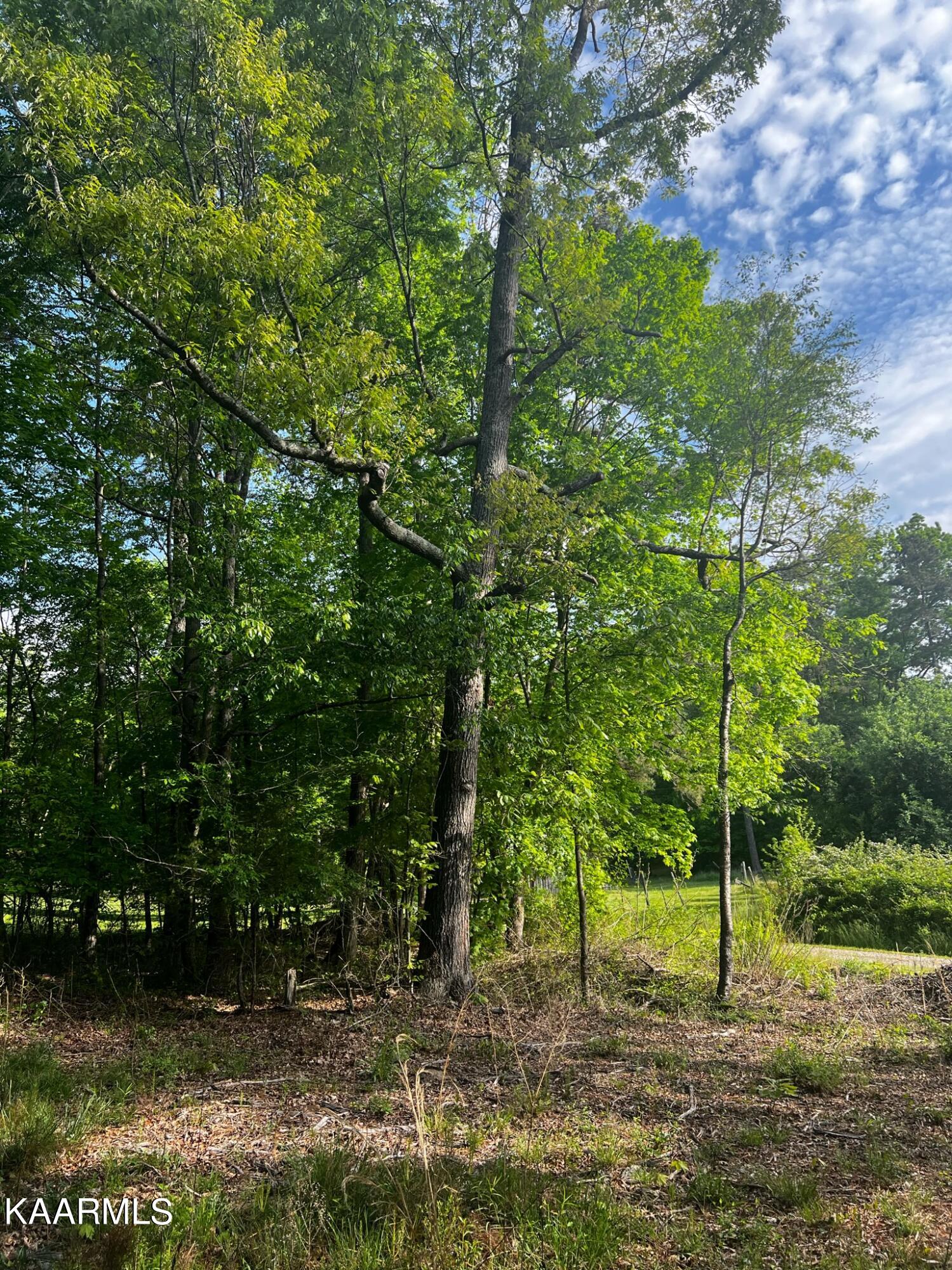 Bancroft Road McDonald, TN 37353 - Photo 4 of 15 2885B4AF-D870-4855-AD49-E79BAAD02A3D