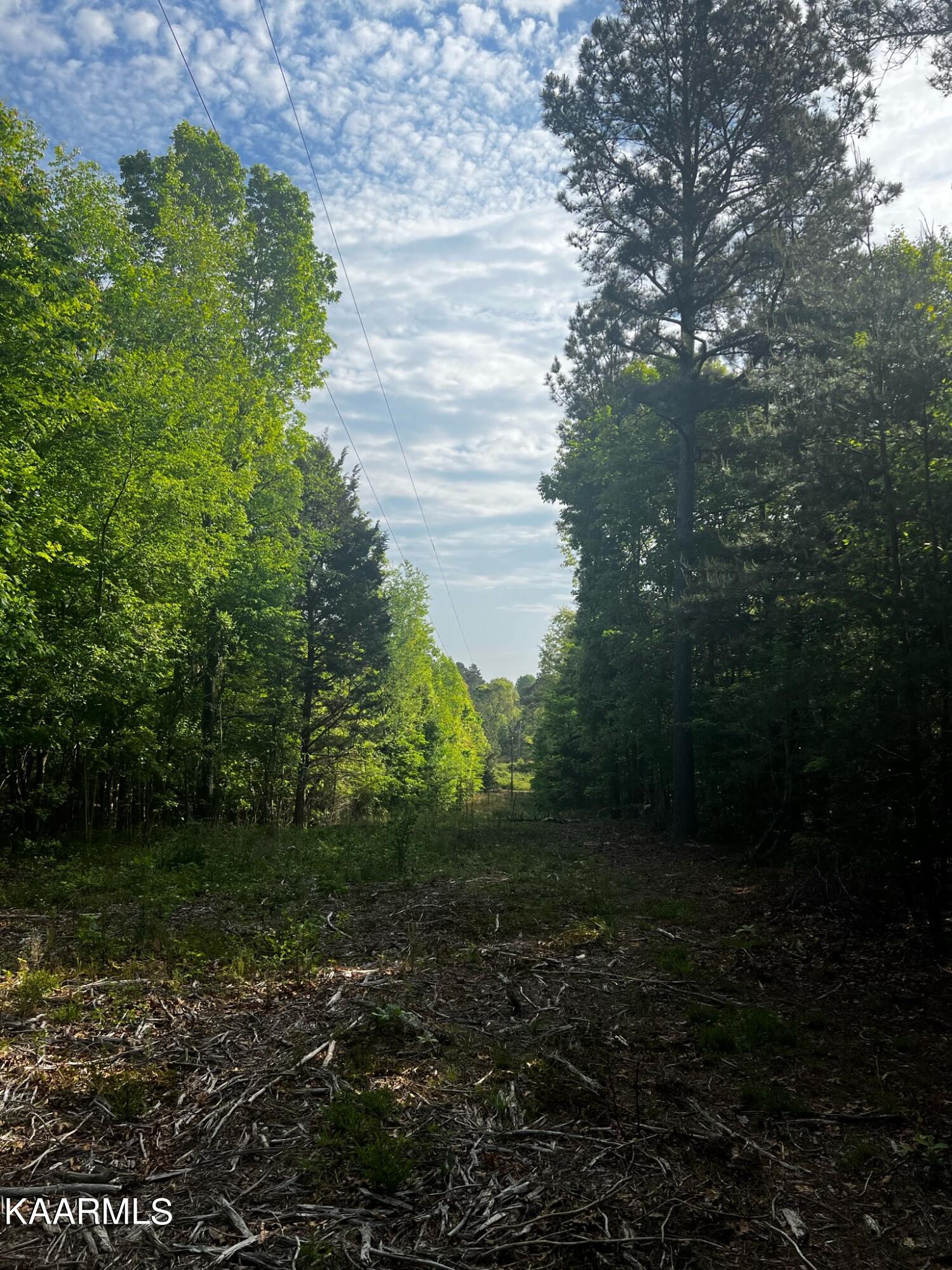 Bancroft Road McDonald, TN 37353 - Photo 6 of 15 A475973E-7D8C-4FCA-8B42-CBB779F5E19C