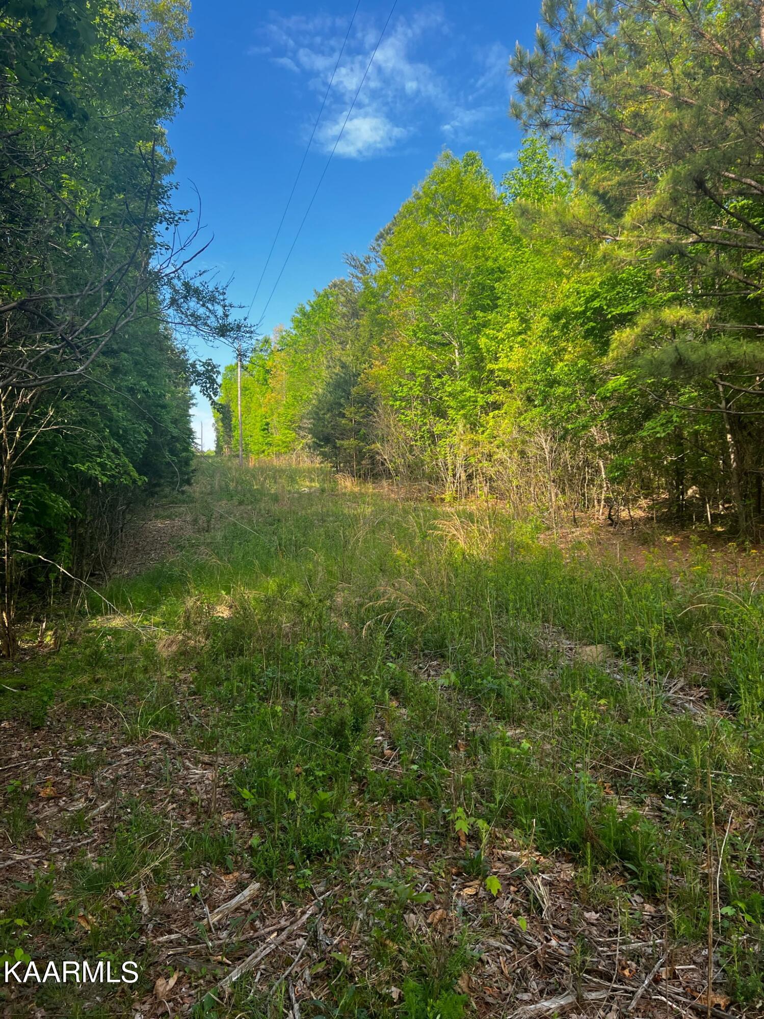 Bancroft Road McDonald, TN 37353 - Photo 8 of 15 9B17979E-7D7C-4570-9455-85345E3DE4DF