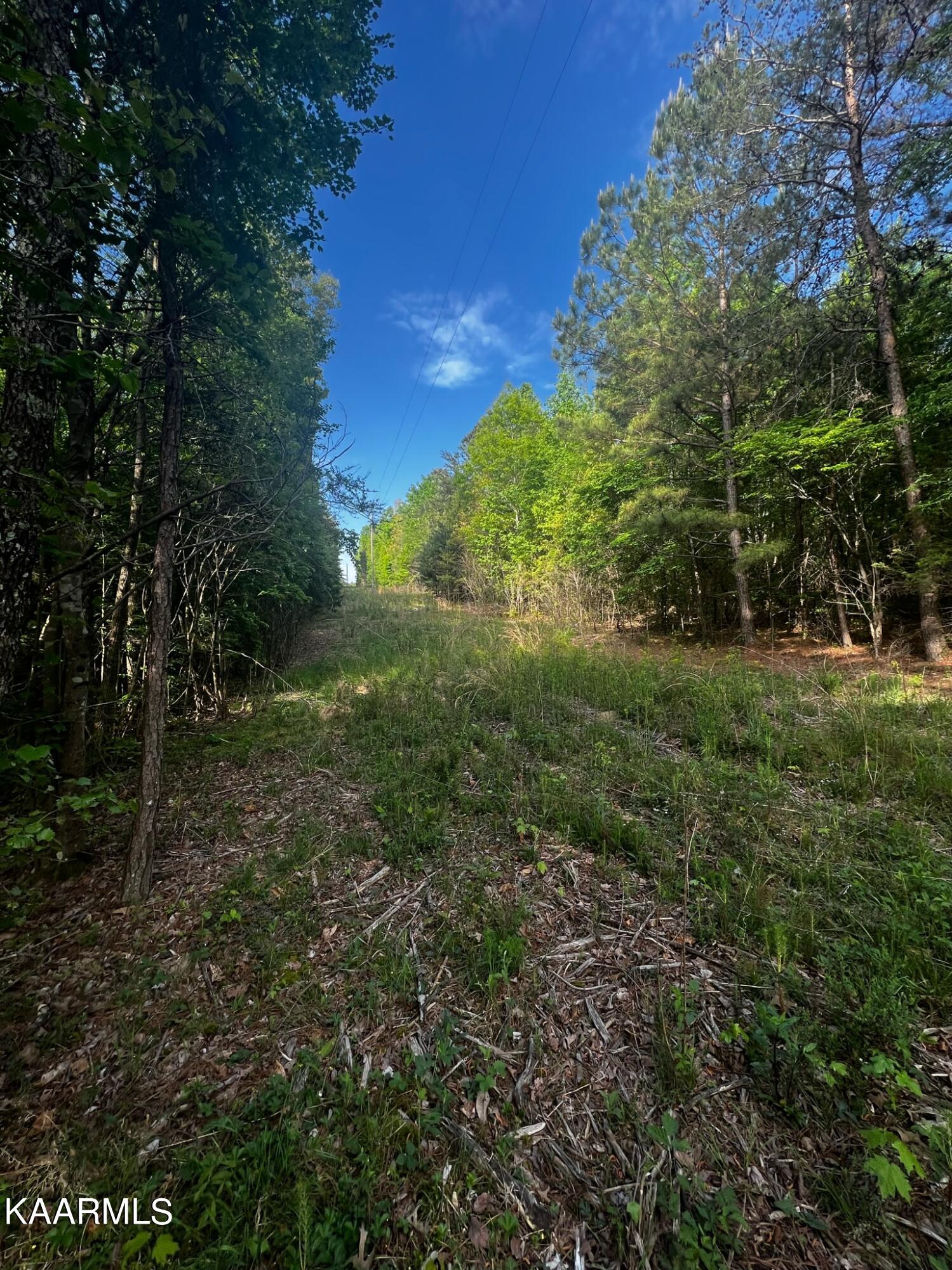 Bancroft Road McDonald, TN 37353 - Photo 10 of 15 0CE4D386-E342-4DE1-91F5-37274DB76C64