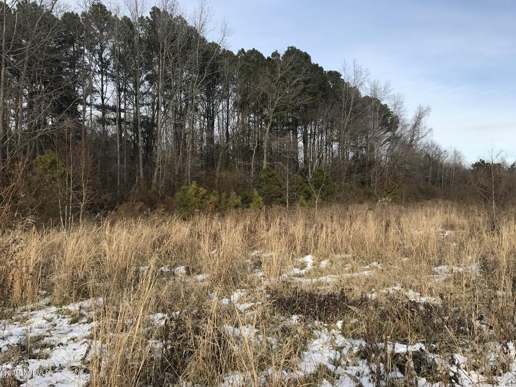 26.89 Bynum Farm Road Pinetops, NC 27864 - Photo 18 of 43 18 (1024x768)