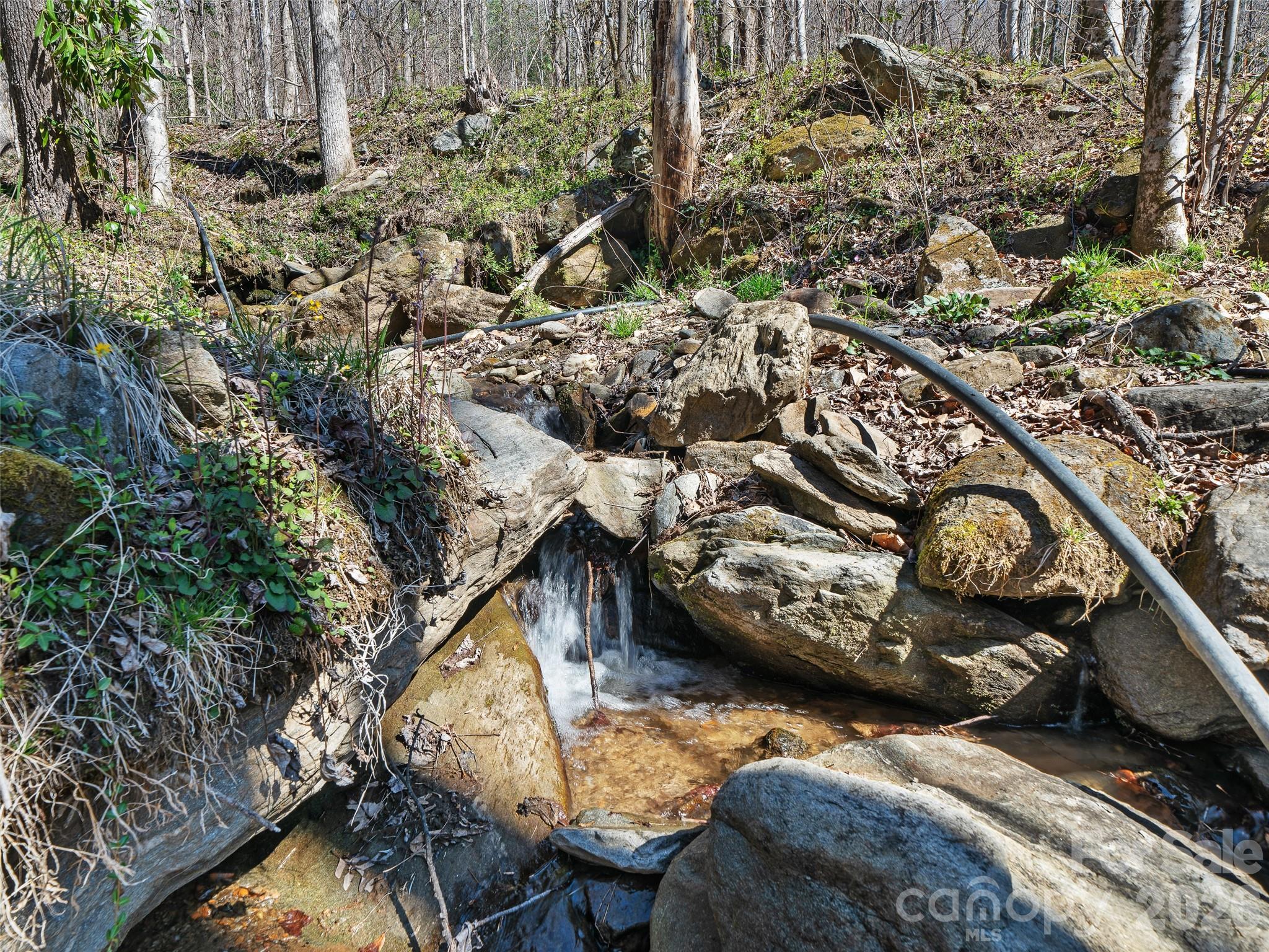 966 Waites Hollifield Road Marion, NC 28752 - Photo 20 of 27