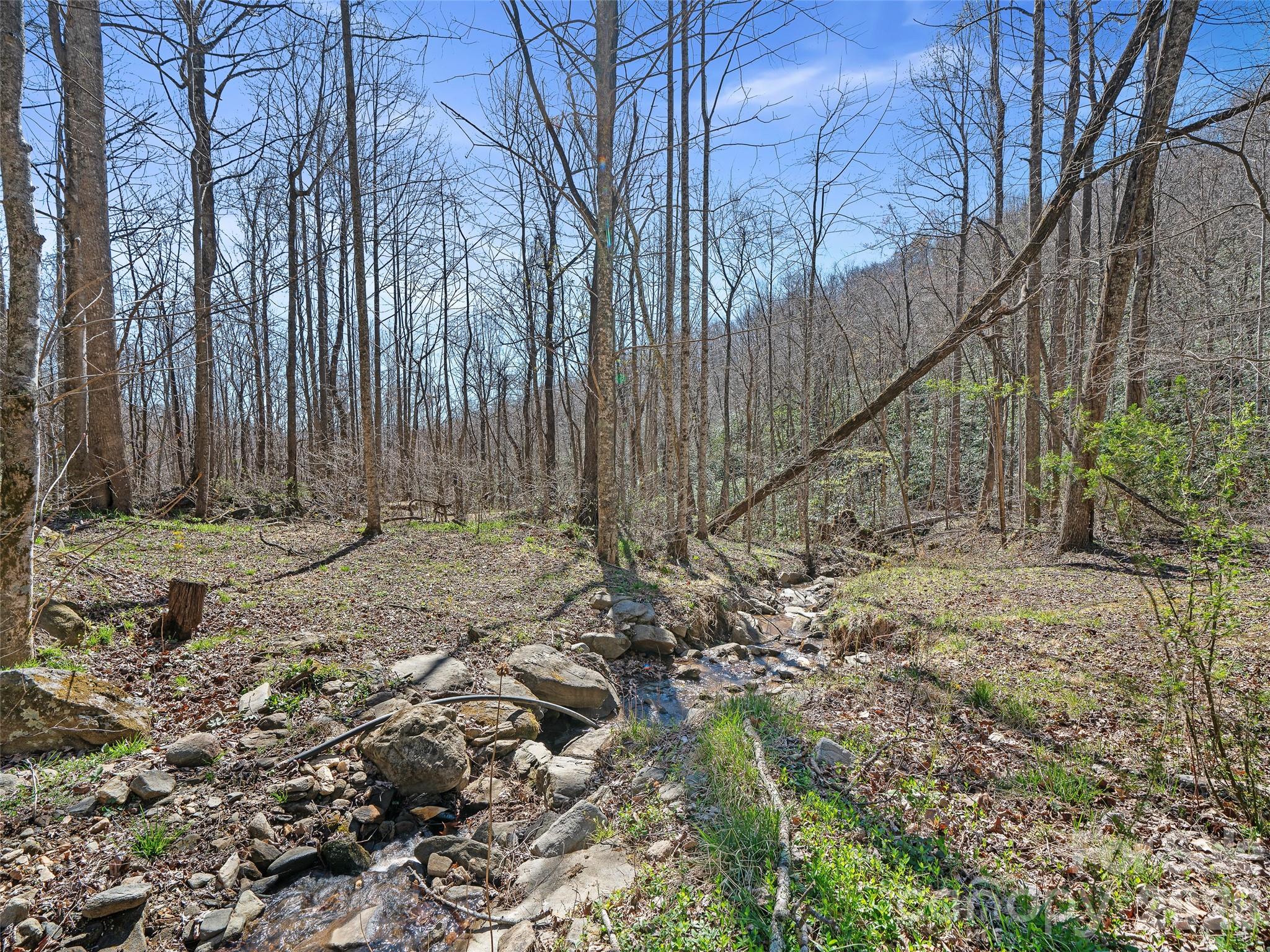 966 Waites Hollifield Road Marion, NC 28752 - Photo 22 of 27