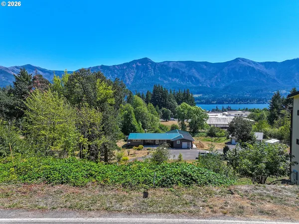 an outdoor view of garden