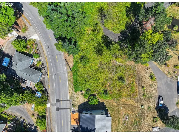 a view of a garden with plants and a bench under an umbrella