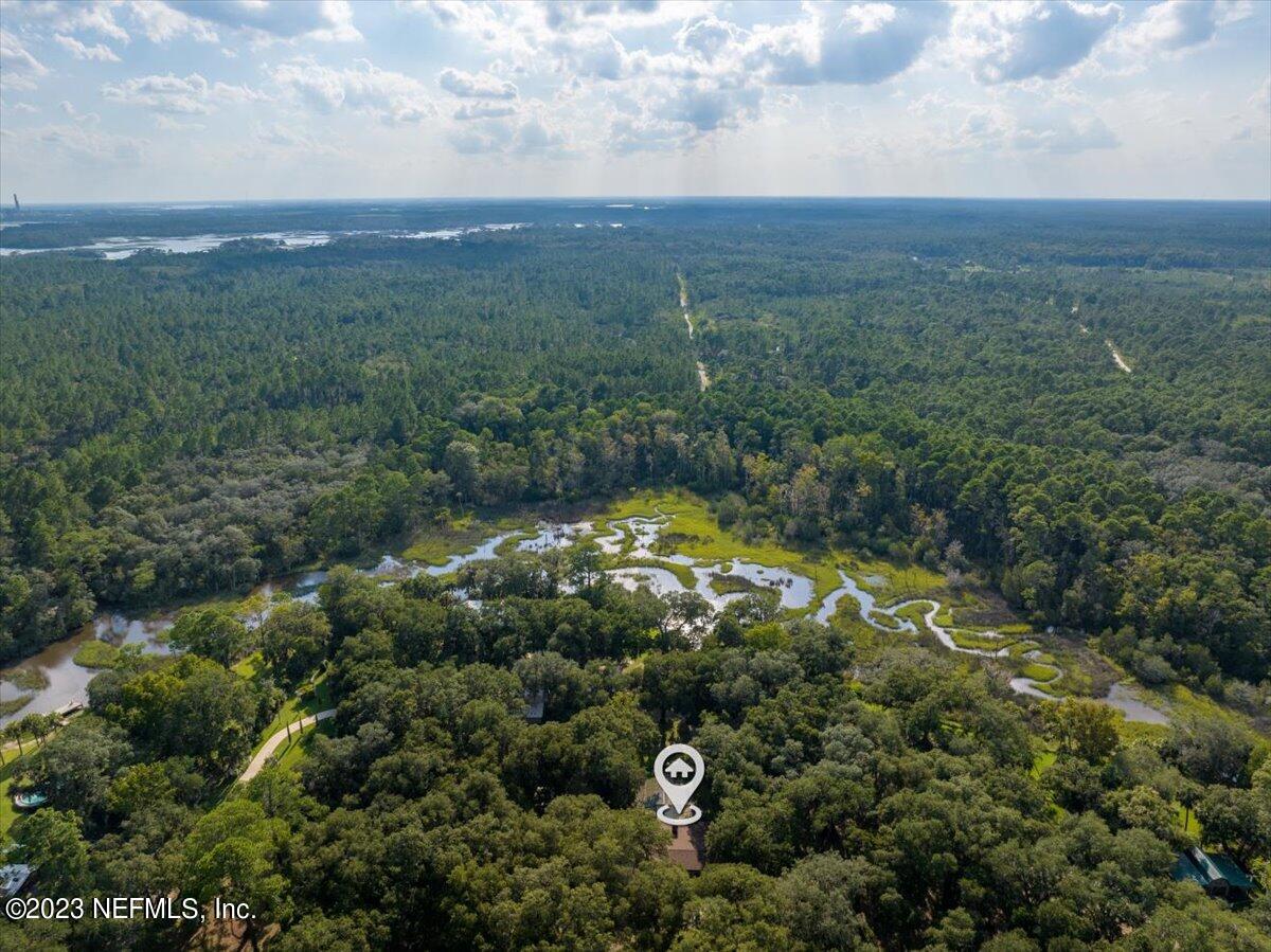 7145 Fitzpatrick Lane Jacksonville, FL 32226 - Photo 14 of 42 a view of a bunch of trees and bushes