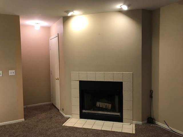 14506 Lake Ridge Road Orland Park, IL 60462 - Photo 13 of 30