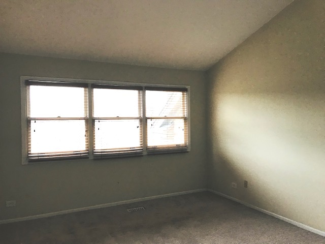 14506 Lake Ridge Road Orland Park, IL 60462 - Photo 16 of 30