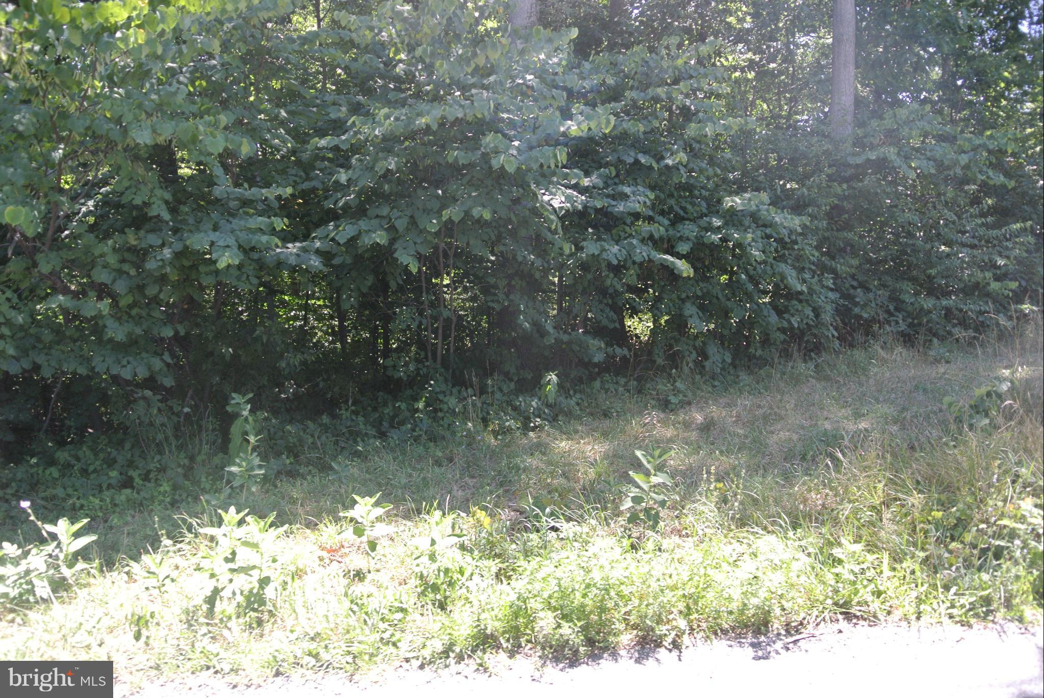 Tabor Road Berkeley Springs, WV 25411 - Photo 5 of 8 a view of a lake from a yard