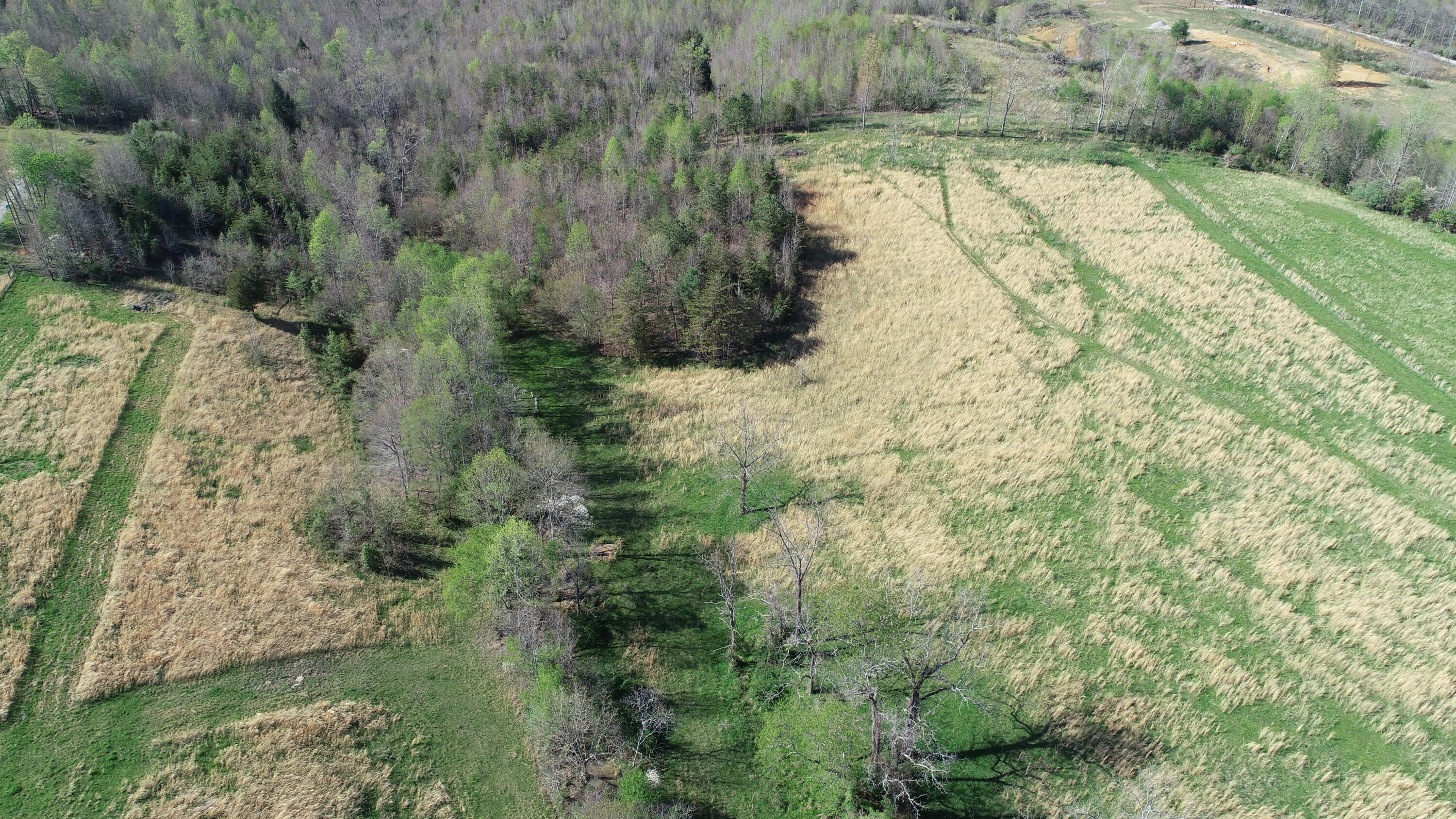 9999 River Road Williamsburg, KY 40769 - Photo 21 of 23 DJI_0912