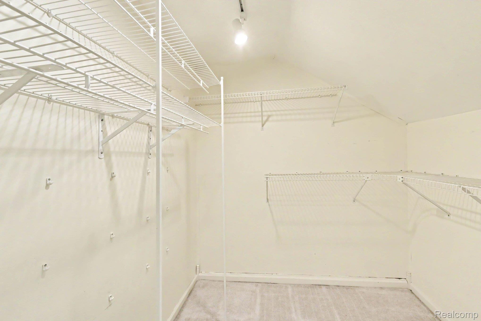 4815 Lytle Road Corunna, MI 48817 - Photo 20 of 31 Spacious walk-in closet featuring integrated wire shelving, a carpeted floor, and neutral wall paint