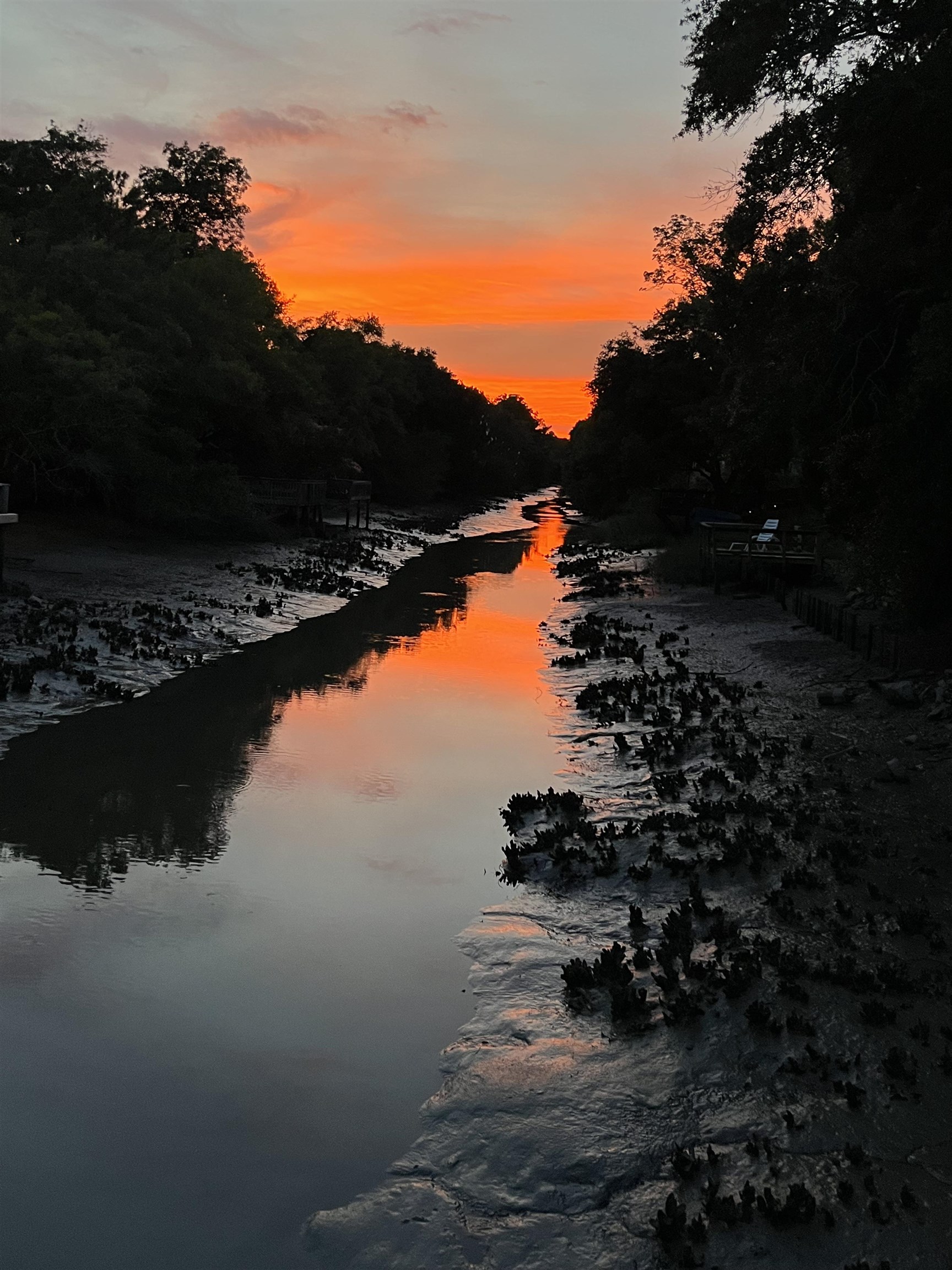 582 Mimosa Drive Murrells Inlet, SC 29576 - Photo 43 of 43
