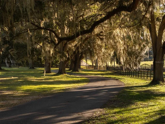 a view of a swimming pool with an outdoor space