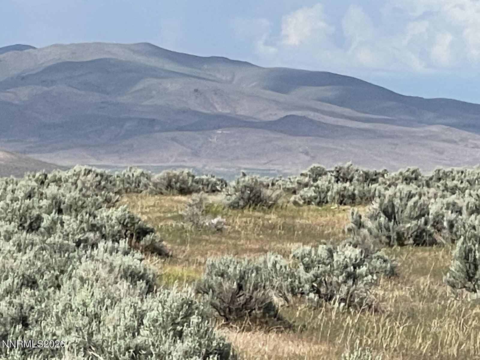 10 Button Point Road Golconda, NV 89414 - Photo 14 of 25 a view of a yard with a mountain and a forest