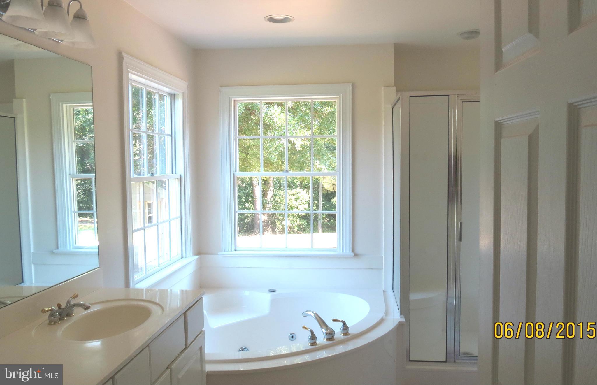 9466 Quail Run Road Denton, MD 21629 - Photo 12 of 24 Bath (Master)