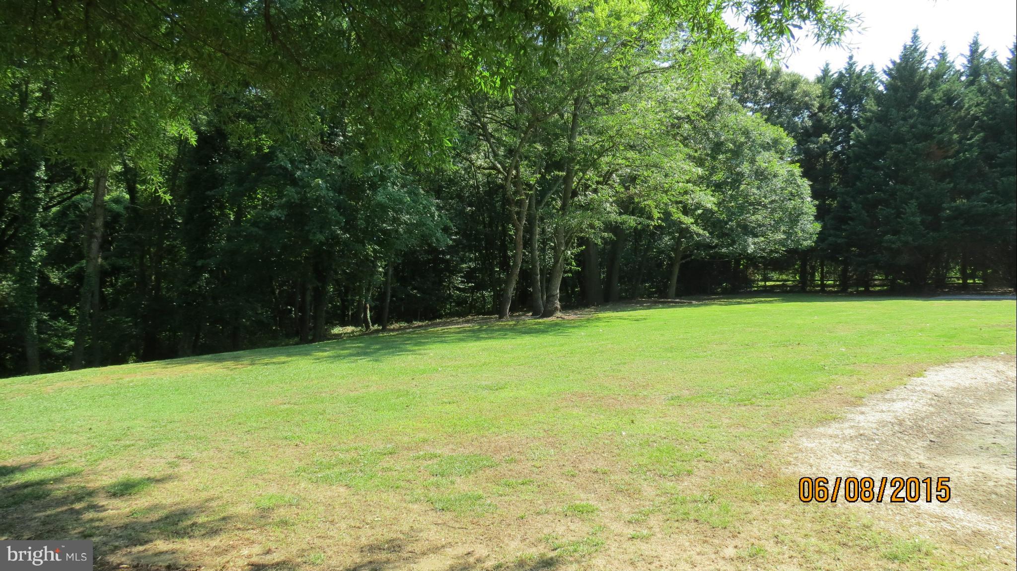 9466 Quail Run Road Denton, MD 21629 - Photo 19 of 24 View
