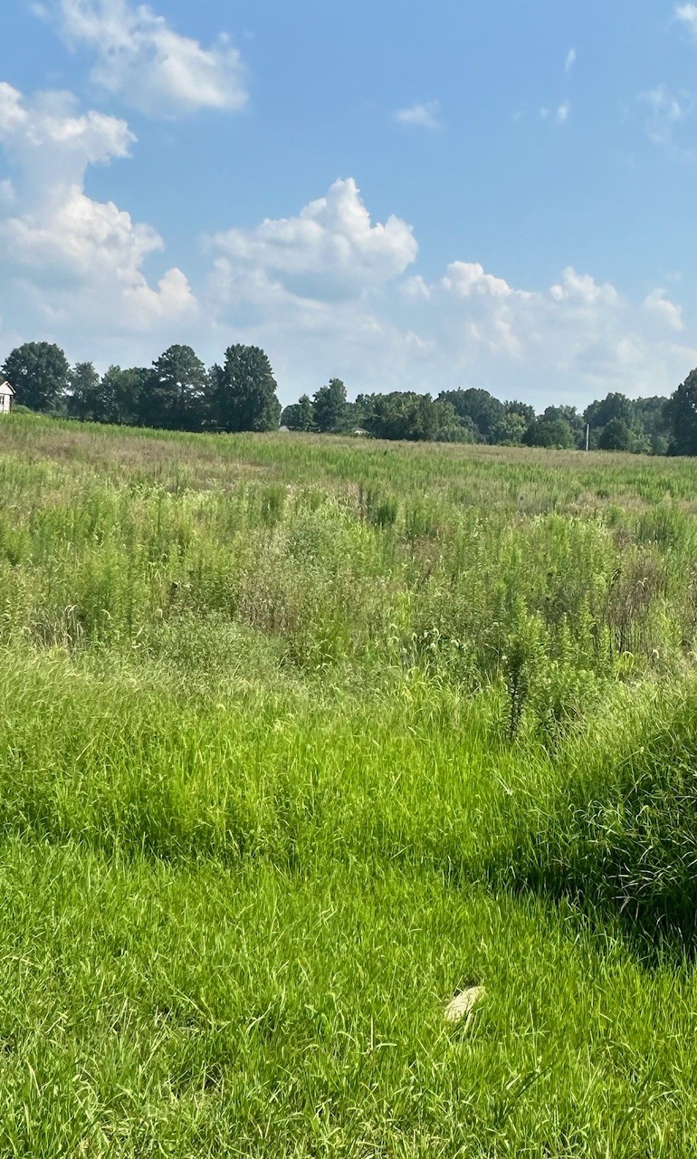 6417 Hopewell Road Springfield, TN 37172 - Photo 2 of 3 a view of a lake with houses in the back