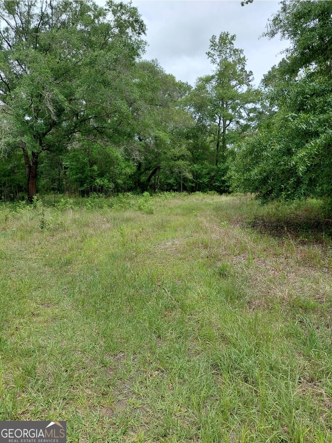 436 Russell Boulevard St. George, GA 31562 - Photo 30 of 33