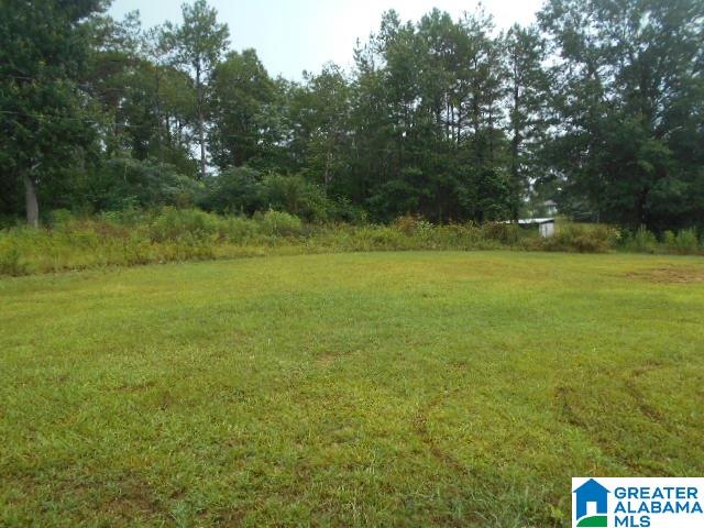 200 Kymulga Road Childersburg, AL 35044 - Photo 3 of 12