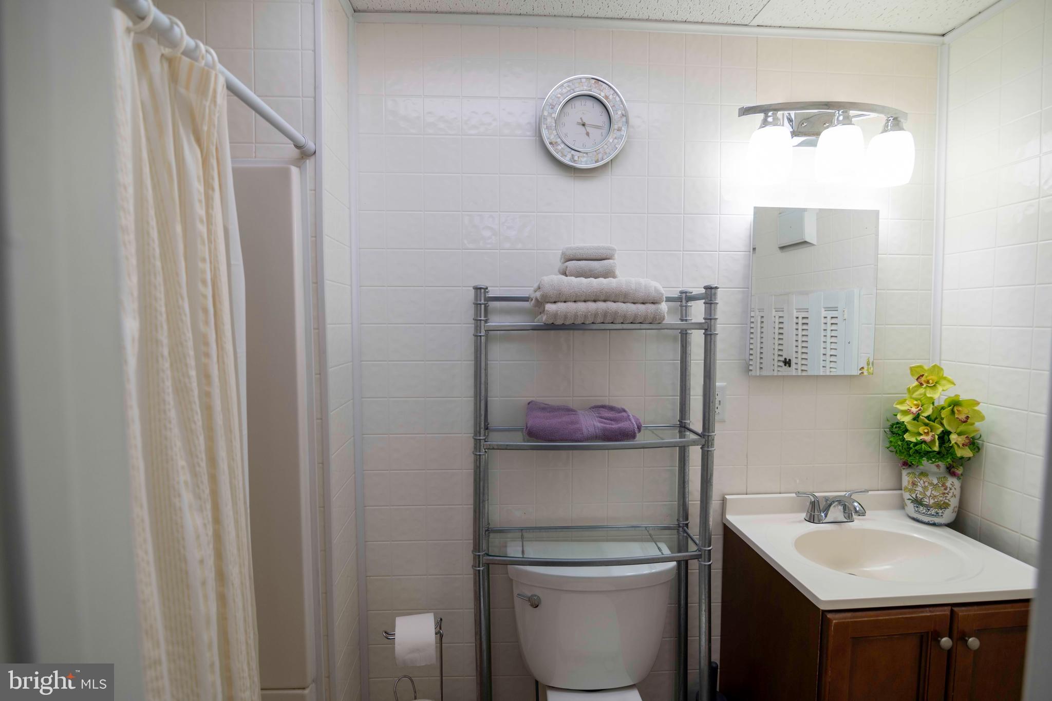 5348 Strasburg Road Kinzers, PA 17535 - Photo 35 of 97 walk in shower
