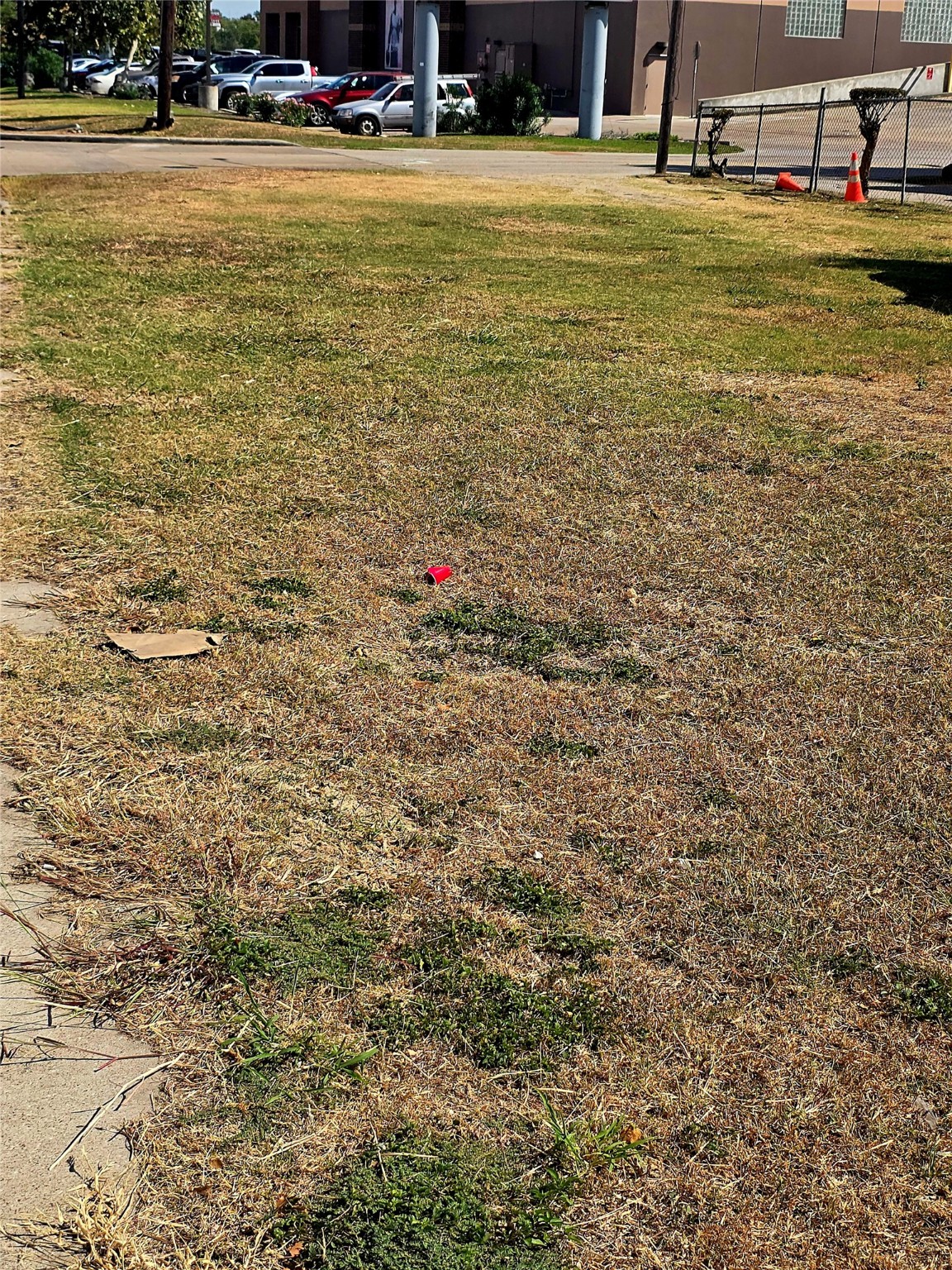 1615 Bass Street Houston, TX 77007 - Photo 6 of 11