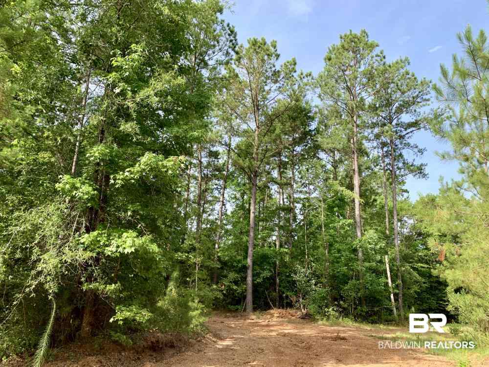 0 Country Road Uriah, AL 36480 - Photo 35 of 49