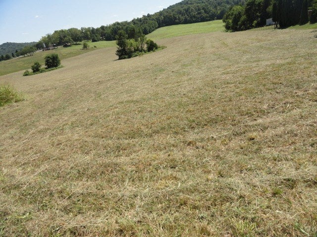145 Fisher Ridge Road Horse Cave, KY 42749 - Photo 8 of 8 Gallery Image 8
